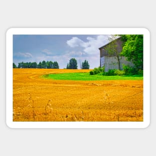 Summer Wheat Field Sticker